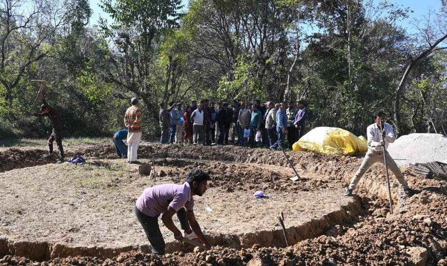 कारगर बनी शिवा परियोजना जापानी फल उत्पादन से बागवानों को हर वर्ष 2.50 करोड की आमदनी का अनुमान