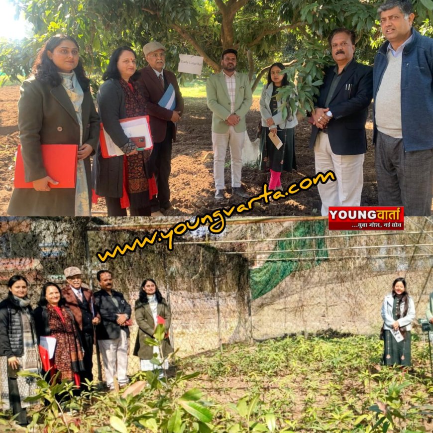 नर्सरी की मान्यता के लिए बागवानी अनुसंधान केंद्र धौला कुआं पहुंची नेशनल हॉर्टिकल्चर बोर्ड की टीम  