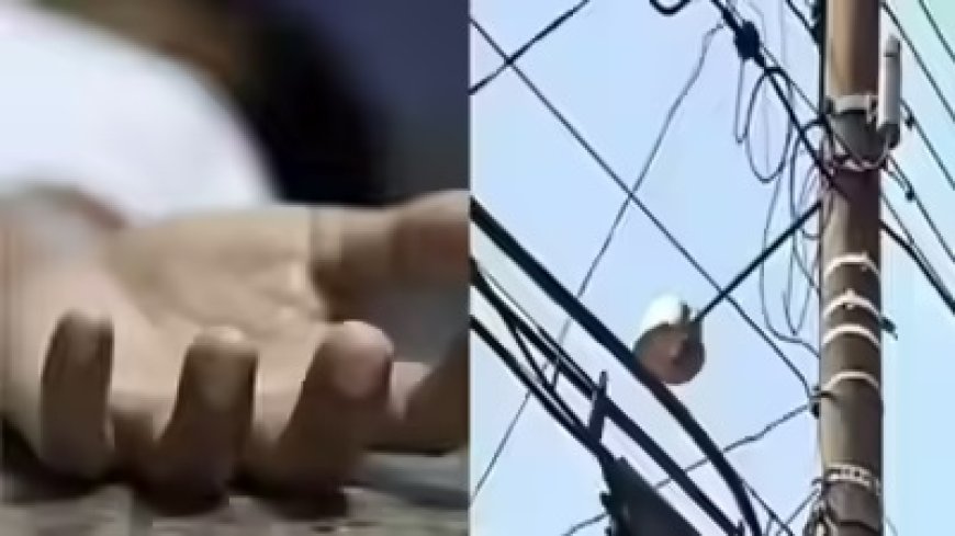 शिमला के जुब्बल उपमंडल के अंतर्गत बिजली लाइन की मरम्मत के दौरान करंट लगने से एक युवक की मौत