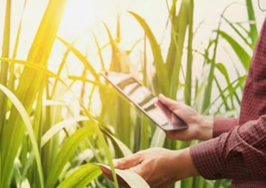 सिरमौर में कृषि क्षेत्र को आधुनिक तकनीक से जोड़ने के लिए फसलों का होगा डिजिटल सर्वेक्षण  