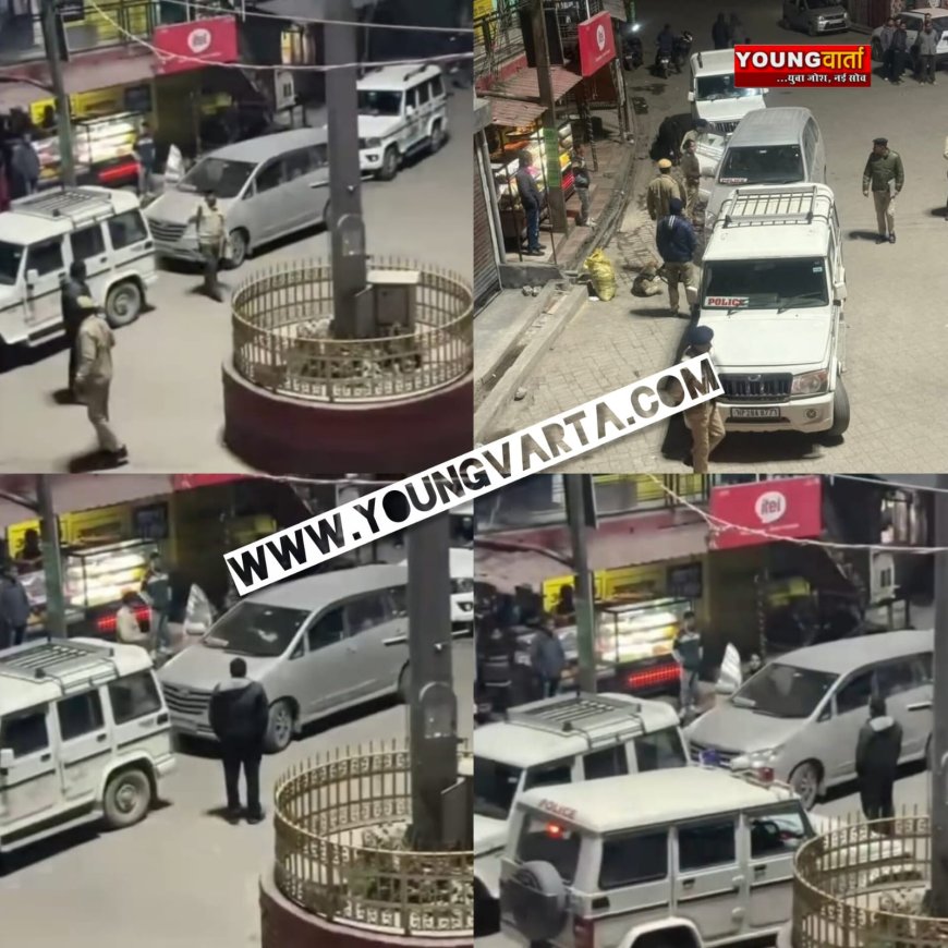 हिमाचल पुलिस की नजर से नहीं बच पाई नकली पुलिस , हरिपुरधार में लाल बत्ती लगी पुलिस की दो गाड़ियां पकड़ी 