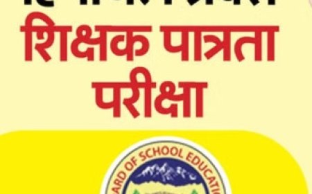 स्कूल शिक्षा बोर्ड ने 10 विषयों में आयोजित टेट का परिणाम किया घोषित, 25.6 फीसदी रहा परीक्षा परिणाम 