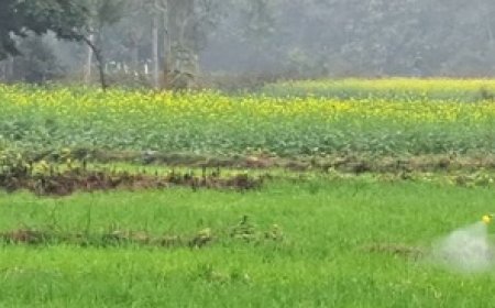 प्रदेश के सभी किसानों और बागवानों के लिए फार्मर आईडी बनाना अनिवार्य