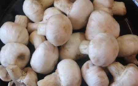 राष्ट्रीय खुंब अनुसंधान केंद्र की पहल,वैल्यू एडेड उत्पाद को देश भर में स्वाद और पोषण की मिलेगी नई पहचान 