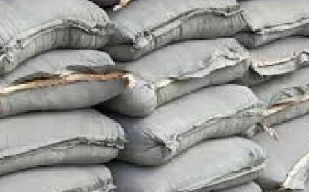 हिमाचल की जनता को महंगाई का झटका : प्रमुख कंपनियों द्वारा सीमेंट के दाम पांच रुपये प्रति बैग बढ़ा दिए रेट 