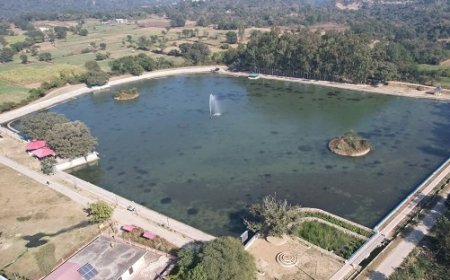 हरोली में जल संरक्षण की नई मिसाल बन रहे तालाब, 20 करोड़ की लागत से प्राचीन टोबों का हो रहा कायाकल्प