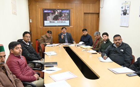 आगामी सेब सीजन के सफल क्रियान्वयन के लिए स्थानीय स्तर पर करें समन्वय स्थापित : उपायुक्त