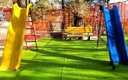 उपायुक्त की पहल : संकटमोचन मंदिर पार्क को 5 वर्ष बाद मिला नया जीवन, बच्चों के लिए नए झूले का भी प्रावधान 