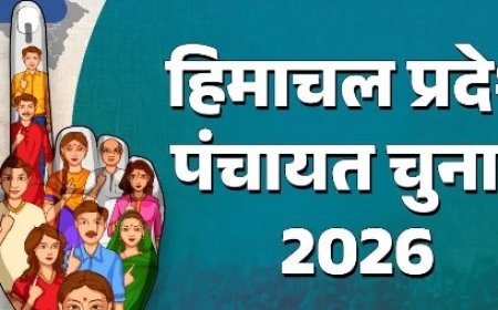हिमाचल में 30 अप्रैल से पहले संपन्न करवाने होंगे पंचायत चुनाव, हाईकोर्ट की डबल बेंच का फ़ैसला