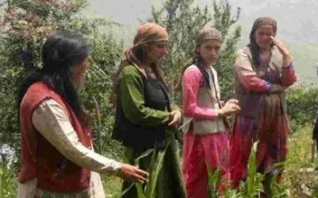  ग्रामीण क्षेत्रों में खुशहाल खेती की नई कहानी लिख रही सुख की सरकार’