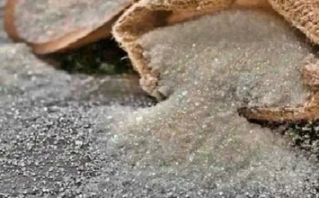 प्रदेश के सस्ते राशन की दुकानों में जनवरी महीने का राशन पहुँचना शुरू 