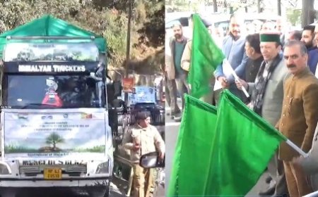 सीएम सुक्खू ने भूटान के लिए 5000 चिलगोजे के पौधों से भरे ट्रक को हरी झंडी दिखाकर किया रवाना  