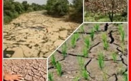 हिमाचल में करवट लेगा मौसम , कई हिस्सों में इस दिन से होगी बारिश और बर्फबारी