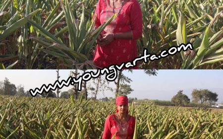 प्रदेश के किसानों की आर्थिकी को सुदृढ़ कर रही प्राकृतिक खेती खुशहाल किसान योजना