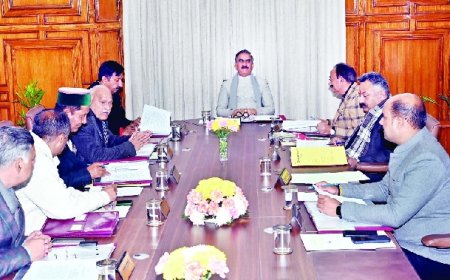 राज्य सरकार पंचायत चुनाव को हिमाचल हाई कोर्ट की डेडलाइन के अनुसार करवाने को तैयार