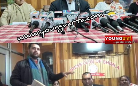 द ग्रेट खली जमीनी विवाद : तहसीलदार समेत कई अधिकारियों पर मिलीभगत कर गड़बड़ी के आरोप