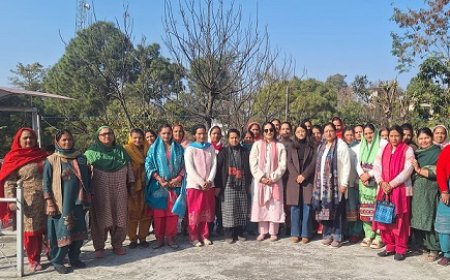 उपायुक्त गंधर्वा राठौड़ ने 7 पंचायतों में विकास कार्यों का लिया जायजा