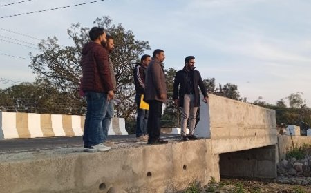 एसडीआरएफ के तहत जल शक्ति मंडल हरोली में चल रहे 25.59 करोड़ के बाढ़ सुरक्षा कार्यों का निरीक्षण