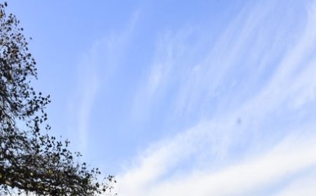 पश्चिमी विक्षोभ की सक्रियता से माैसम में बदलाव आने के आसार,राज्य के कई हिस्सों में बारिश-बर्फबारी की संभावना 