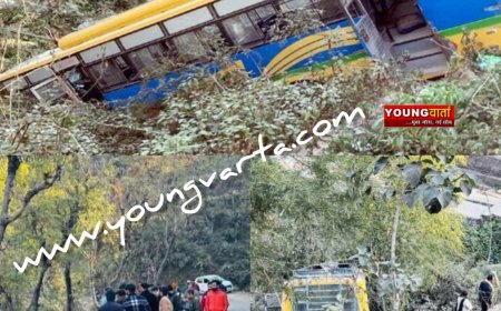 बिना चालक के खाई में लुढ़की बस , हादसे में दस यात्री घायल , दो की हालत गंभीर टांडा रेफर
