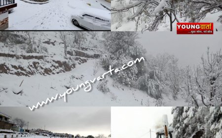 शिमला - सिरमौर समेत प्रदेश की ऊँची पहाड़ियों पर भारी हिमपात , बर्फबारी से जनजीवन अस्तव्यस्त 