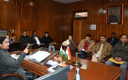 सड़क दुर्घटनाओं को कम करने के लिए सड़क किनारे पैराफीट और क्रेश बेरियर लगाएं लोक निर्माण विभाग : डीसी 