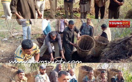 शिमला के क्योंथल क्षेत्र में बुआरा प्रथा सहकारिता का जीवंत उदाहरण