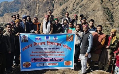 एचपी-शिवा परियोजना के तहत बांधी क्लस्टर में जापानी फल पौधारोपण अभियान शुरू