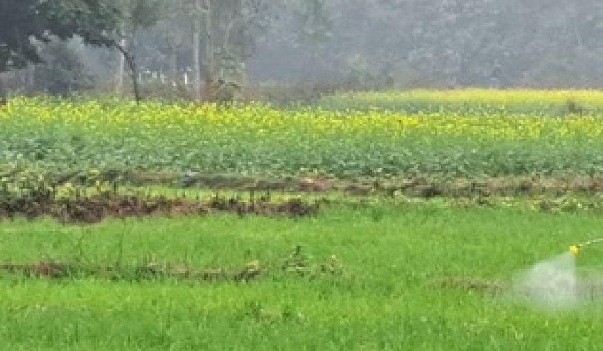 प्रदेश के सभी किसानों और बागवानों के लिए फार्मर आईडी बनाना अनिवार्य