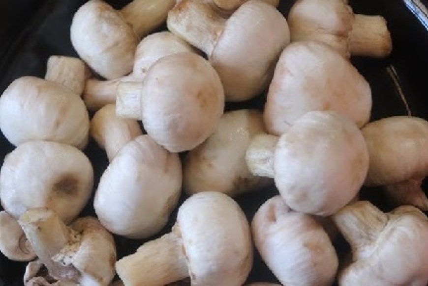 राष्ट्रीय खुंब अनुसंधान केंद्र की पहल,वैल्यू एडेड उत्पाद को देश भर में स्वाद और पोषण की मिलेगी नई पहचान 