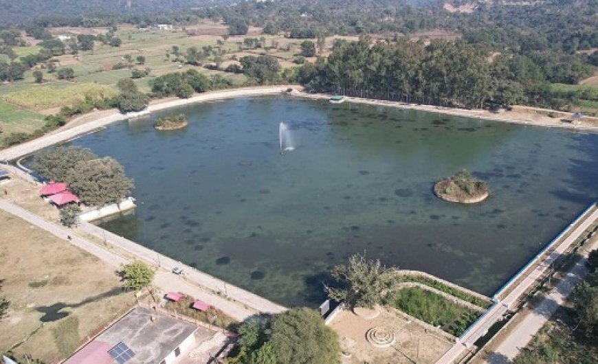 हरोली में जल संरक्षण की नई मिसाल बन रहे तालाब, 20 करोड़ की लागत से प्राचीन टोबों का हो रहा कायाकल्प
