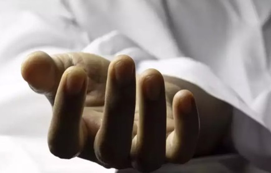 हमीरपुर के नादौन के गौना गांव में उल्टी-दस्त से पीड़ित महिला की मौत से हड़कंप