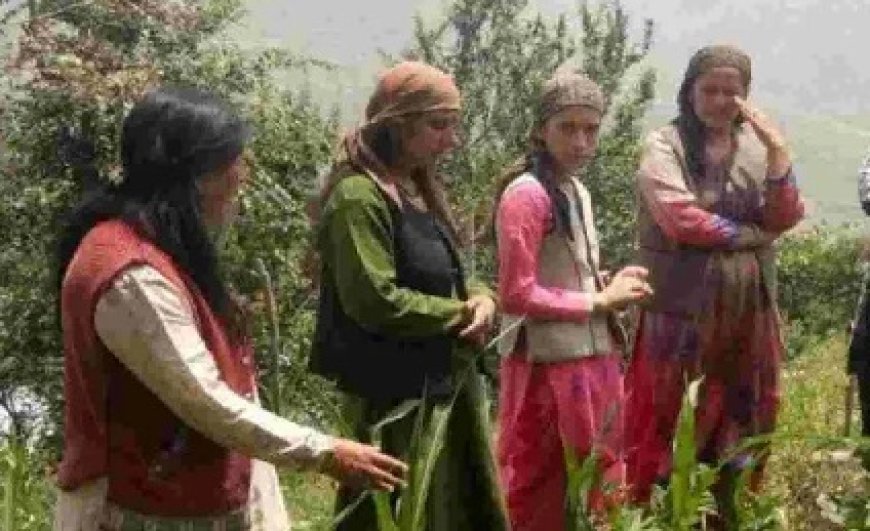  ग्रामीण क्षेत्रों में खुशहाल खेती की नई कहानी लिख रही सुख की सरकार’