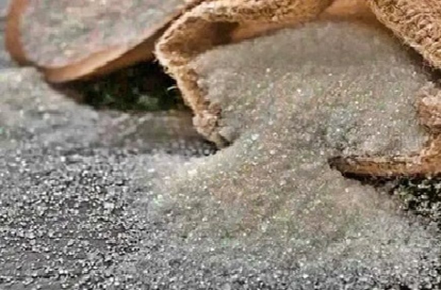 प्रदेश के सस्ते राशन की दुकानों में जनवरी महीने का राशन पहुँचना शुरू 