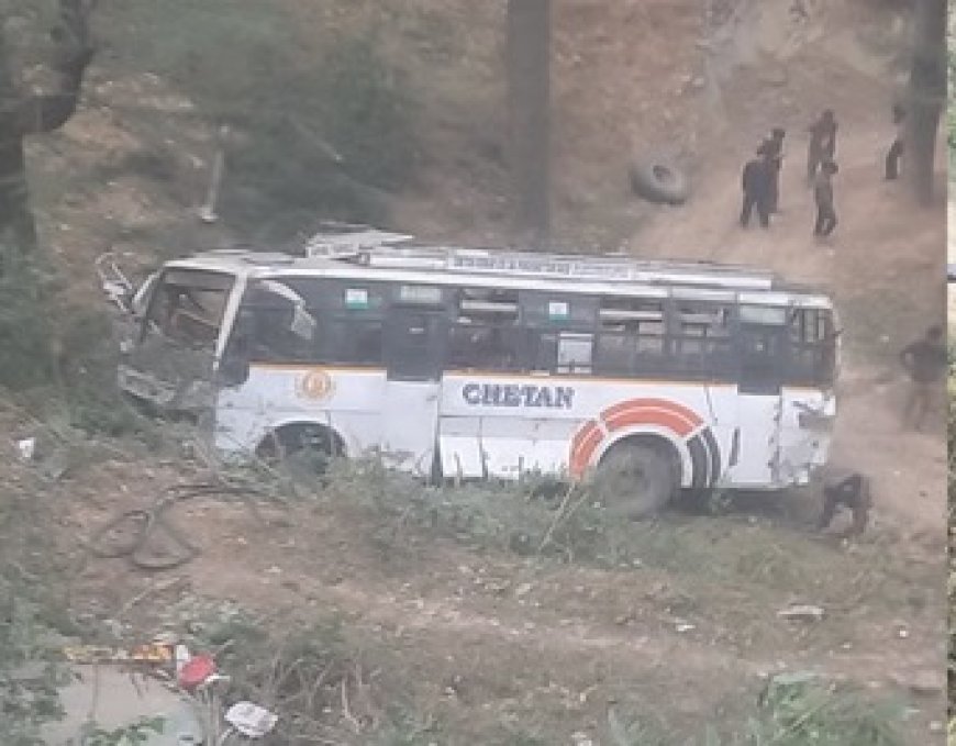 मंडी में निजी बस दुर्घटनाग्रस्त,हादसे में एक बुजुर्ग महिला की माैत, जबकि पांच यात्री घायल 