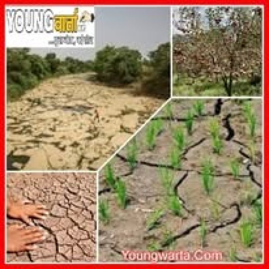 हिमाचल में करवट लेगा मौसम , कई हिस्सों में इस दिन से होगी बारिश और बर्फबारी