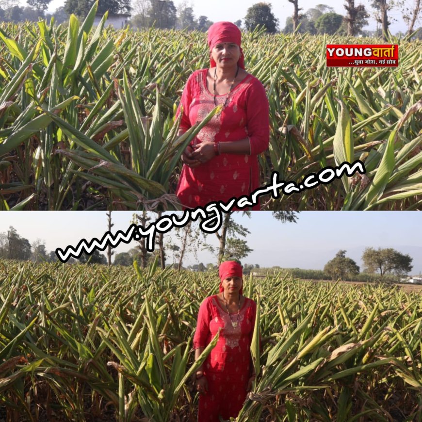 प्रदेश के किसानों की आर्थिकी को सुदृढ़ कर रही प्राकृतिक खेती खुशहाल किसान योजना