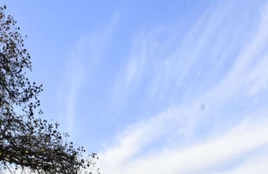 पश्चिमी विक्षोभ की सक्रियता से माैसम में बदलाव आने के आसार,राज्य के कई हिस्सों में बारिश-बर्फबारी की संभावना 