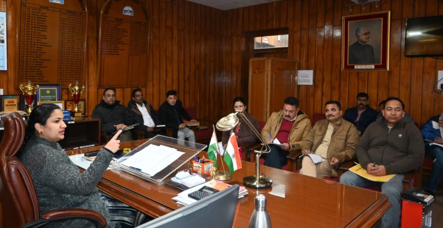 सड़क दुर्घटनाओं को कम करने के लिए सड़क किनारे पैराफीट और क्रेश बेरियर लगाएं लोक निर्माण विभाग : डीसी 