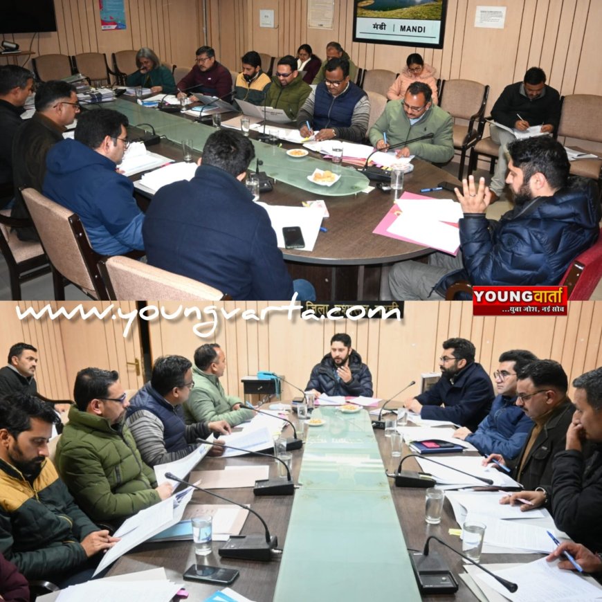 राष्ट्रीय खाद्य सुरक्षा अधिनियम के तहत लाभार्थी चयन में तेजी लाए विभाग , डीसी ने दिए निर्देश