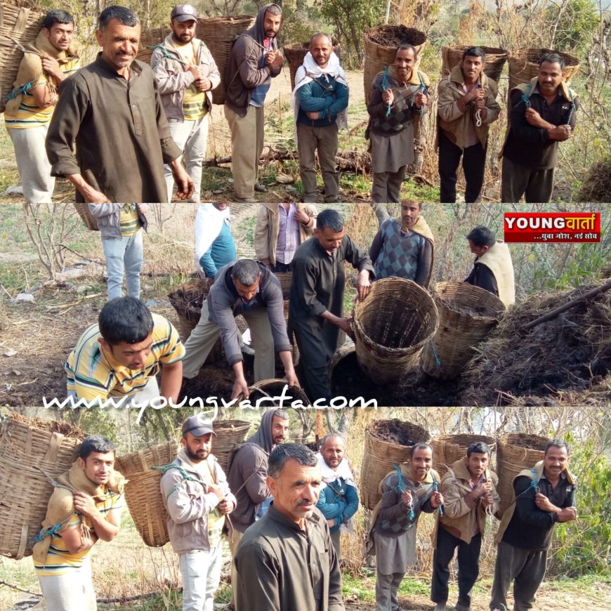 शिमला के क्योंथल क्षेत्र में बुआरा प्रथा सहकारिता का जीवंत उदाहरण