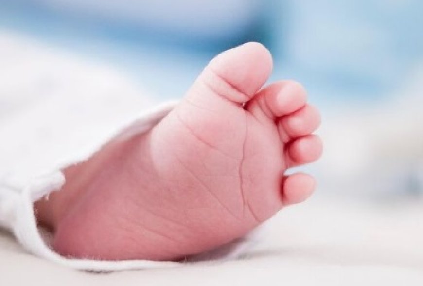 मानवता को शर्मसार " जन्म देने के बाद नहर में फेंका नवजात,ठंड में बच्चे की मौत