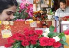 वेलेंटाइन डे को लेकर प्रदेश के बाजार में गुलाब के फूलों का कारोबार पकड़ने लगा गति  