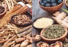 हिमालय की बेशकीमती जड़ी-बूटियों से तैयार औषधियों की देश और विदेश में खूब मांग