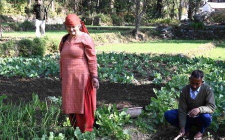 रंग लाने लगे ‘सुख की सरकार’ के प्रयासः प्राकृतिक खेती से आत्मनिर्भरता की मिसाल बने टिक्करी मुशैहरा के अजय कुमार