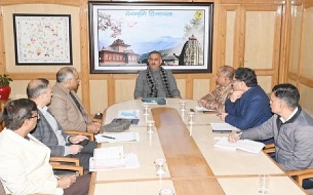 हिमाचल में वन क्षेत्र को विस्तार प्रदान कर 31 प्रतिशत तक करने के लिए एक व्यापक कार्य योजना तैयार करने के निर्देश 