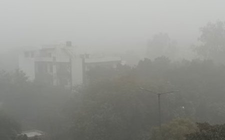 प्रदेश के कुछ जिलों में सुबह और शाम के समय घना कोहरा पड़ने का येलो अलर्ट जारी