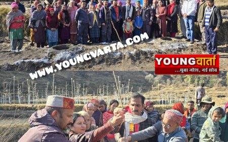 चौहार घाटी के धमच्याण और बड़ी बजगाण क्लस्टर में पौधारोपण अभियान एवं प्रशिक्षण शिविर का आयोजन