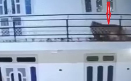 सोलन के दाड़लाघाटमें देररात कुत्ते का शिकार करने आया तेंदुआ बाथरूम में घुसा  