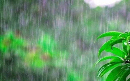 प्रदेश में पिछले दिनों हुई बर्फबारी के बाद कई क्षेत्रों में कड़ाके की ठंड,कुकुमसेरी में सीजन की सबसे ठंडी रात दर्ज 